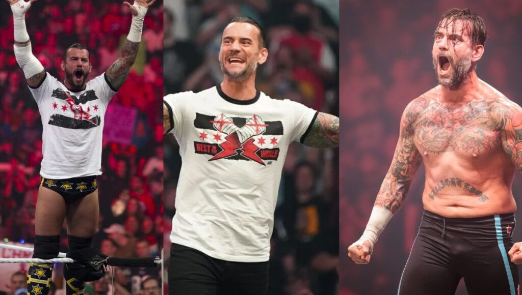 CM Punk Net worth